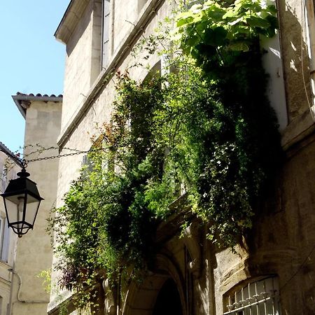 "Chambre D'Autres", Massages Montpellier Zewnętrze zdjęcie