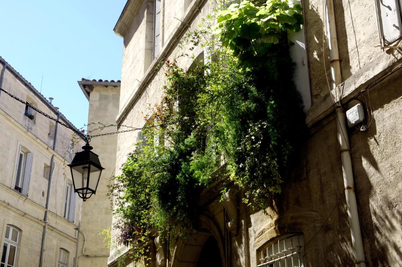 "Chambre D'Autres", Massages Montpellier Zewnętrze zdjęcie